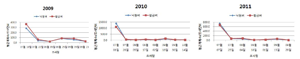 2009-2011년 낙동벼와 비타민 A 강화벼의 깔따구 밀도변화 추이