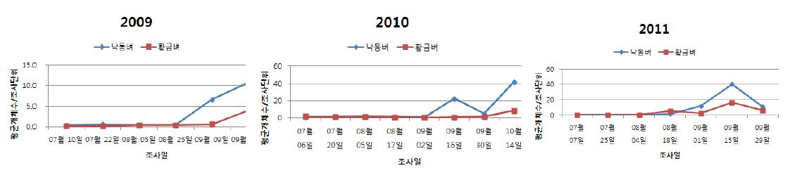 2009-2011년 낙동벼와 비타민 A 강화벼의 톡토기 밀도추이