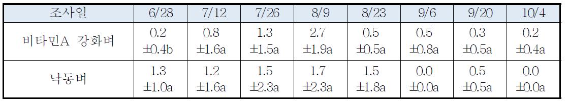품종 간 조사 시기별 노린재류 발생현황