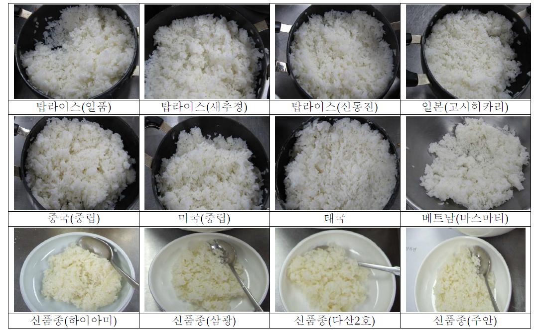 실험 조리된 쌀의 사진