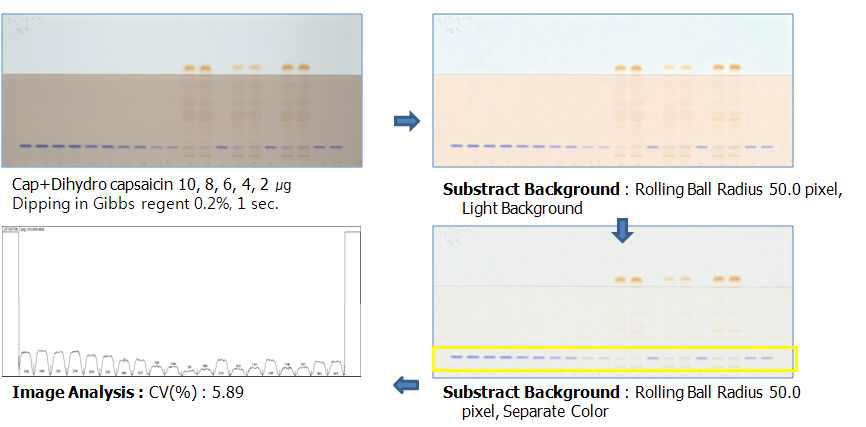 캡사이신 유도체화후 이미지 최적화 과정