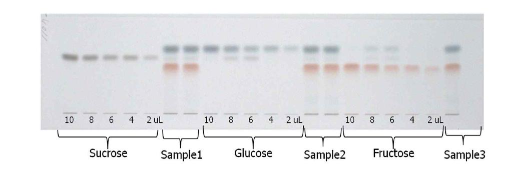 표준물질 및 파프리카의 유리당 성분 유도체화 HPTLC 크로마토그램 비교
