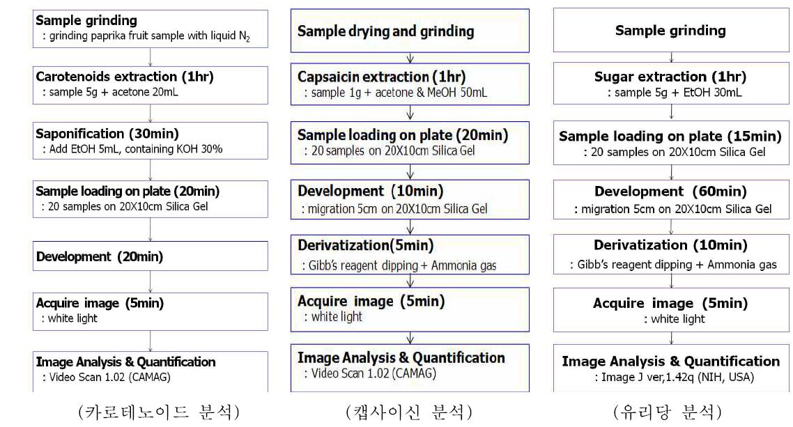 HPTLC를 이용한 파프리카의 품질관련 성분 분석법 정립(2009~2011)