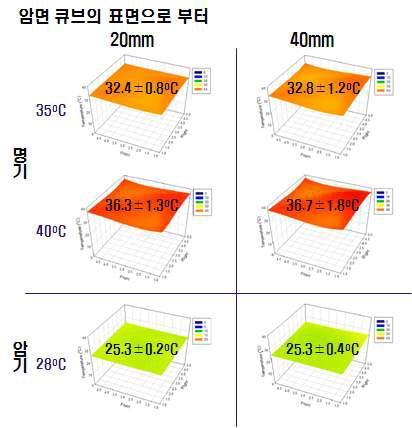 생장상의 명/암기 온도를 각각 35/28 C 및 40/28 C로 설정한 후 암면 큐브의 상부표면으로부터 20 및 40mm 단면에서의 수평 온도 프로파일.