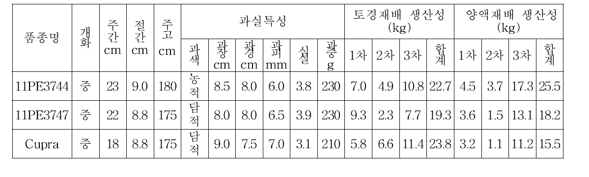 2011년 선발조합의 특성비교