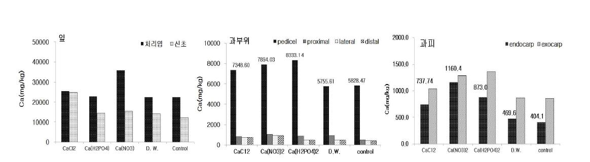 칼슘화합물 엽면살포가 파프리카 부위별(잎, 과 부위, 과피) 칼슘 함량에 미치는 영향