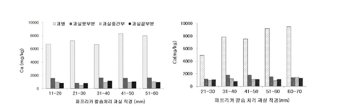 파프리카 과실의 생육 단계에 따른 칼슘화합물 엽면 시비시 녹숙과인 배꼽썩음과(좌)와 적숙과인 정상과(우)의 부위별 무기이온함량