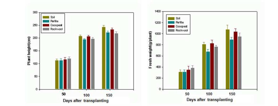 배지의 종류에 따른 파프리카 ‘쿠푸라’ 품종의 경시적 초장(좌) 및 생체중(우)의 변화.