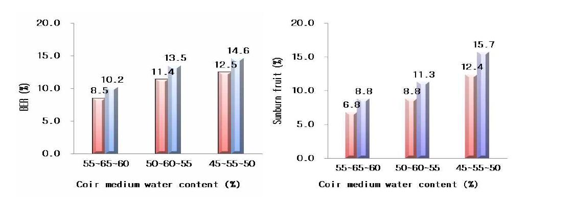 배지함수량에 따른 과실의 기형과율 (왼쪽: 적색, 오른쪽: 노란색)