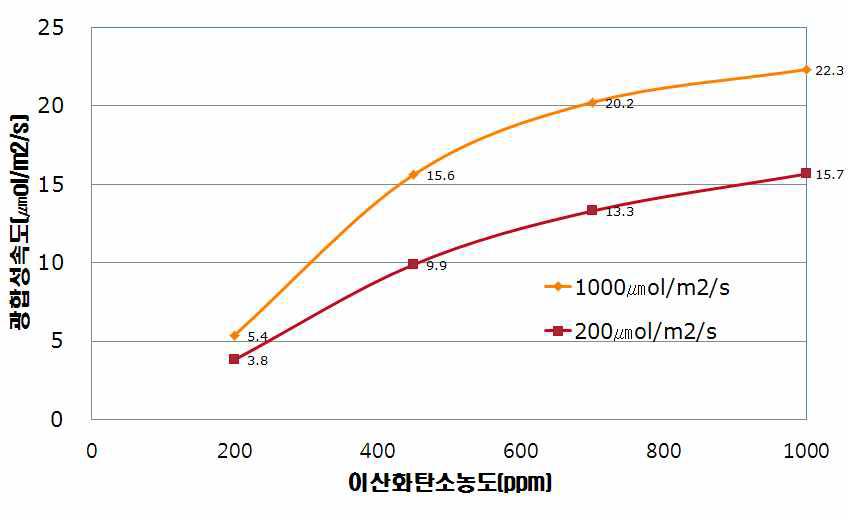 광과 이산화탄소 농도에 따른 파프리카 단엽의 광합성 속도