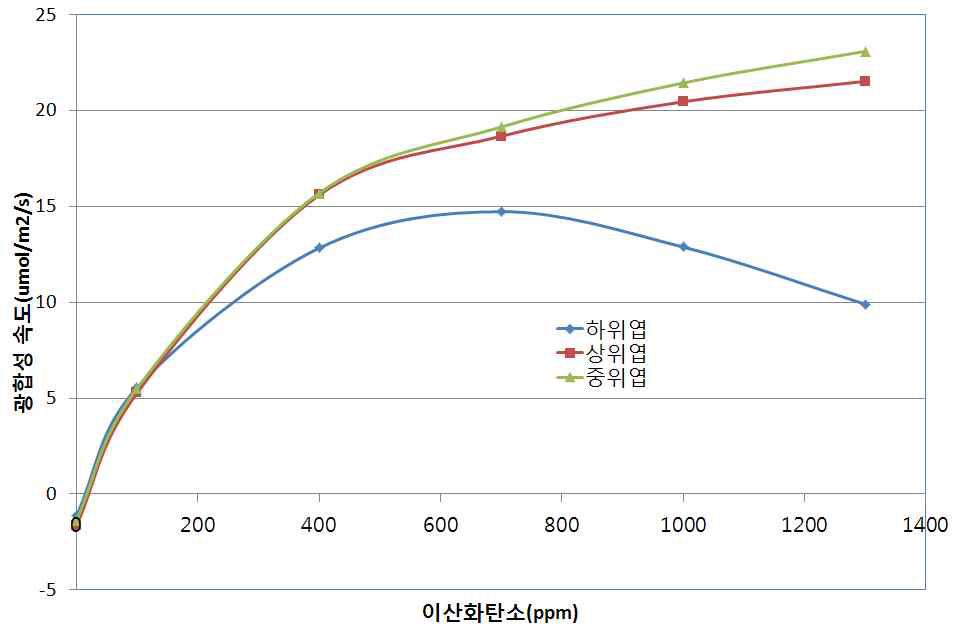 광합성 유효광량자(umol/m2/s)와 엽령에 따른 파프리카 단엽의 광합성 속도