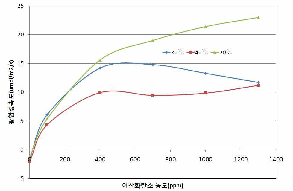 온도와 광합성유효광량자(umol/m2/s)에 따른 파프리카 단엽의 광합성 속도