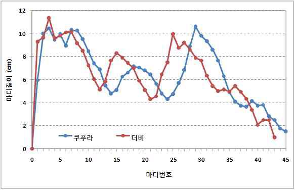 마디길이의 변화.