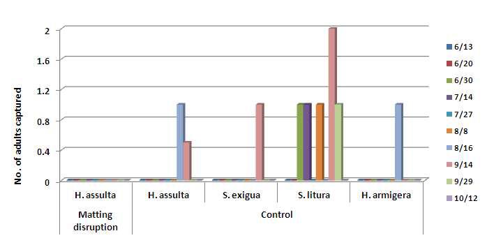 Comparison of number of insect pest captured in pheromone trap by using mating disruption on Paprika in Greenhouse(2011).