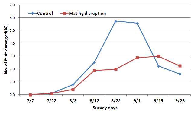 Comparison of number of fruit damaged by using mating disruption on Paprika in Greenhouse(2011).