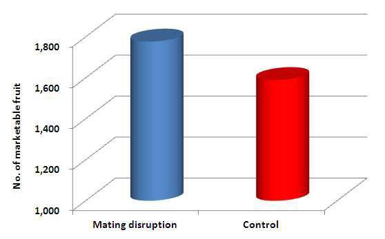 Comparison of l number of marketable fruit by using mating disruption on Paprika in Greenhouse(2011).