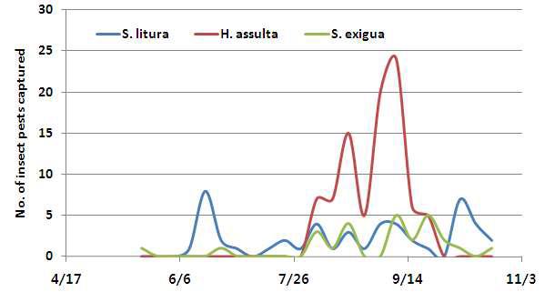 Comparison of number of insect pest captured in light trap by using mating disruption on Paprika in Greenhouse.