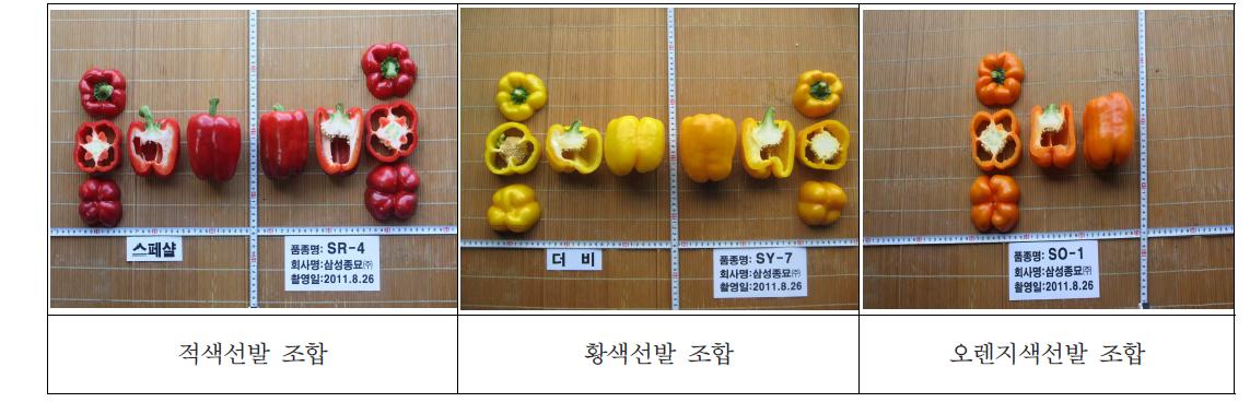 선발품종