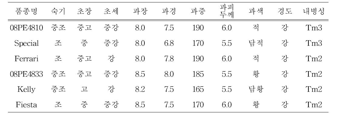 2009년 선발조합의 특성비교