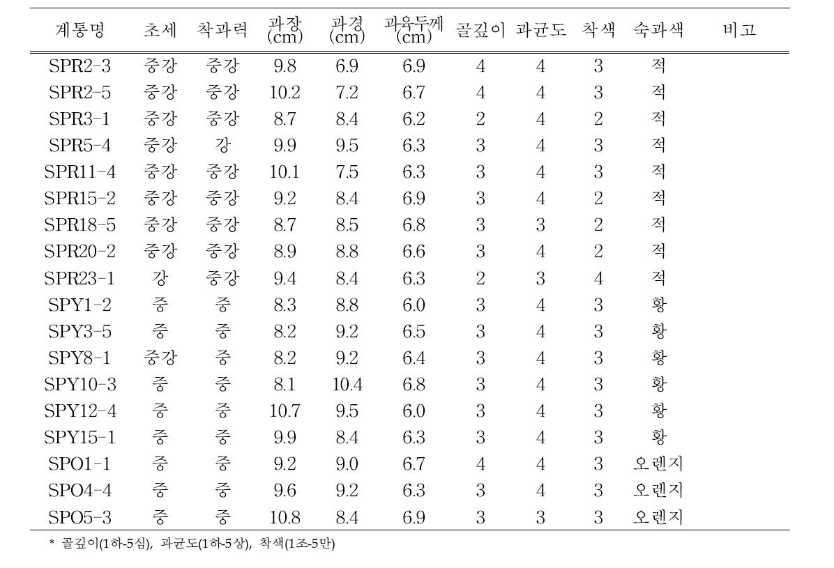 2011년 주요선발계통 특성