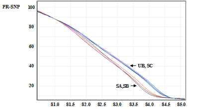 PR-SNP 분자 표지를 임성이 안정 또는 불안정한 파프리카 계통들에 적용하여 얻은 HRM 해리 곡선. SA: 안정 불임친 (MSGR-A, AVRDC-A), SB: 안정 유지친 (MSGR-B, AVRDC-B), UB: 불안정 유지친 (SPR-01, SPR-02, SPR-03), UC: 안정 회복친 (MSGR-C, Kcat)