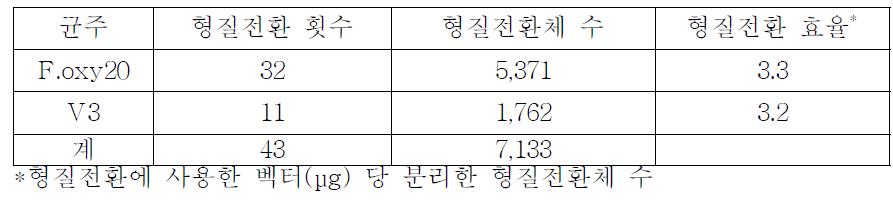 후자린산 생성균주의 REMI에 의한 형질전환 현황