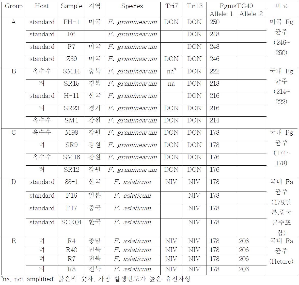 FgmsTG49 마커를 이용한 외래 혹은 국내 F. gramiearum 균주의 미세표식자 분석결과