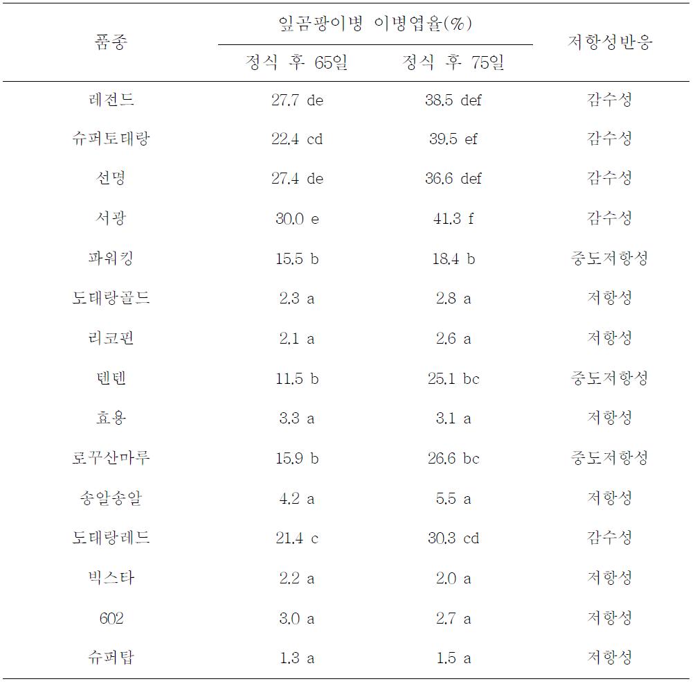 품종에 따른 토마토 잎곰팡이병 이병엽율 및 저항성 반응