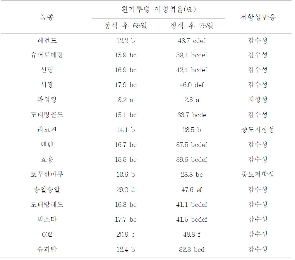 품종에 따른 토마토 흰가루병 이병엽율 및 저항성 반응