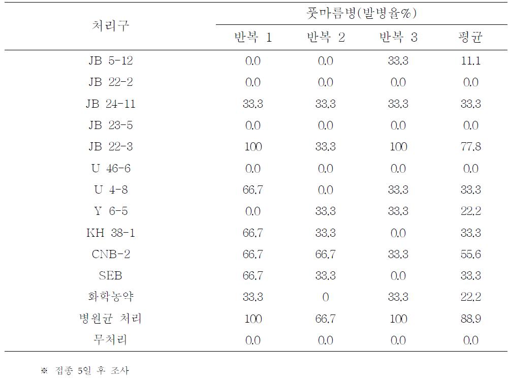 길항미생물를 이용한 토마토 풋마름병 방제효과 조사(온실)