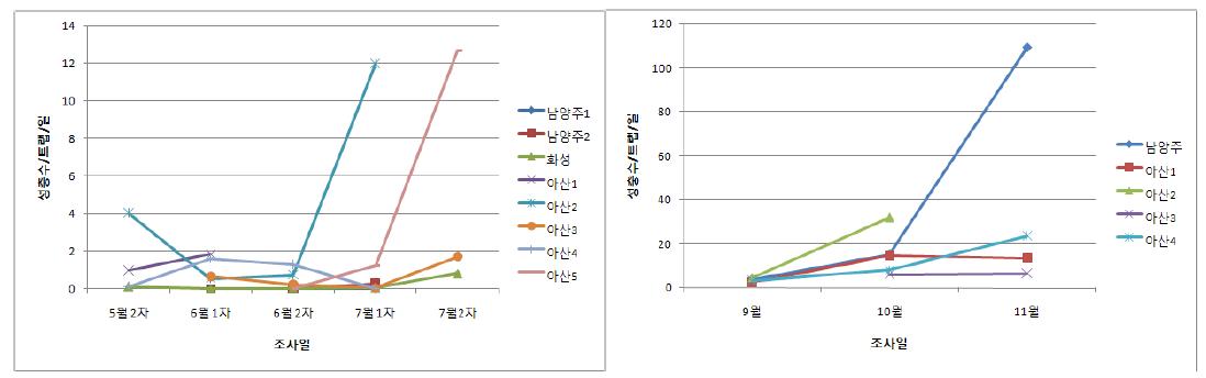 황색점착트랩을 이용한 토마토 유기재배 온실내 가루이 성충의 시기별 발생조사.