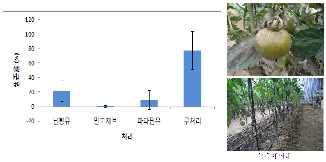 토마토 온실 발생 녹응애에 대한 처리 약제의 살충력