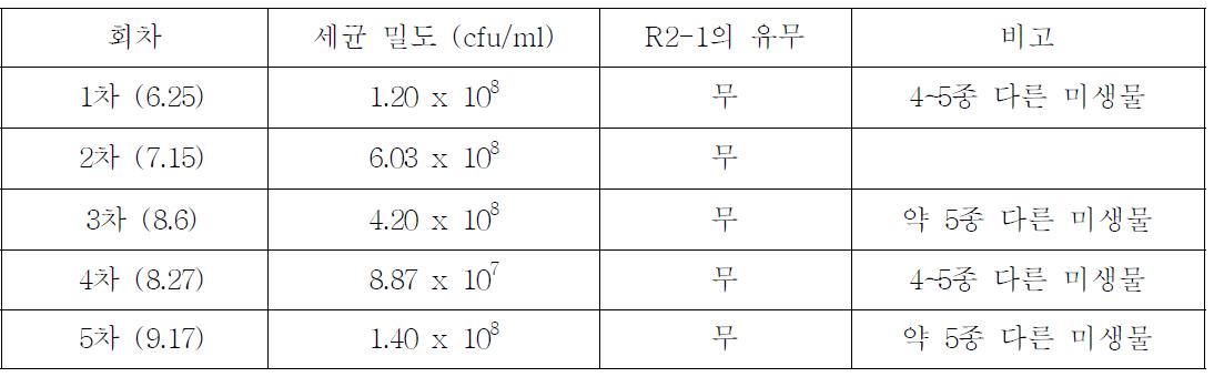 유박과 당밀을 이용하여 폭기배양한 유기농토마토 액비의 미생물밀도(2010년)