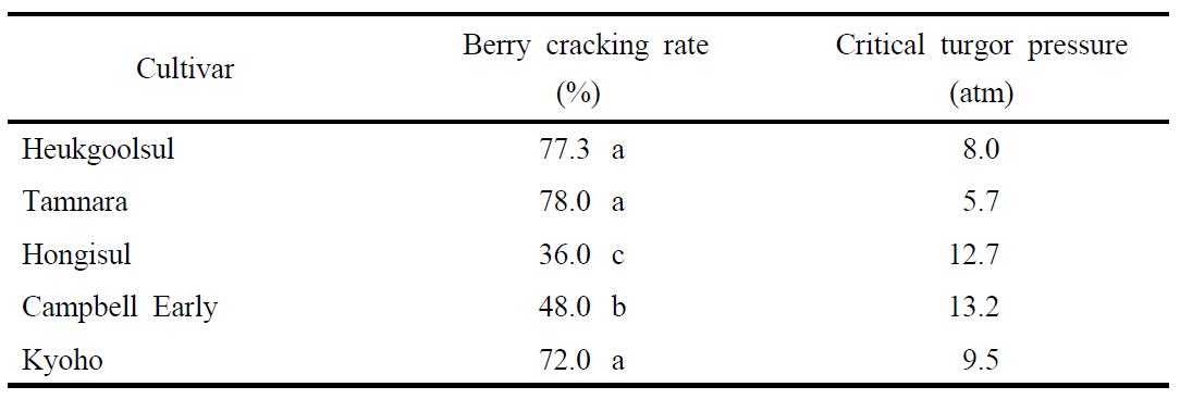 Berry cracking and critical turgor pressure among 5 grape cultivars at harvest.