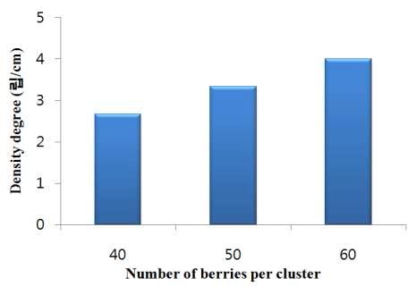 Density degree of cluster on berry setting in ‘Heukgoosul’ grapes.