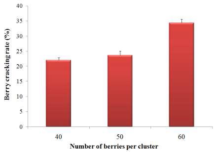 Berry cracking rate on berry setting in ‘Heukgoosul’ grapes.