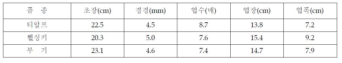 정식묘 생육특성조사