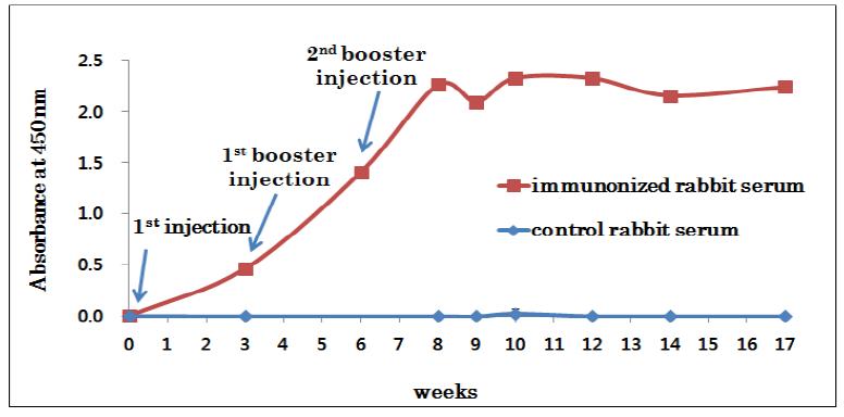 Measurement of antibody titer during 17 weeks of immunization.