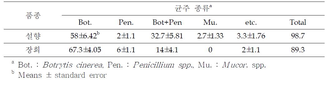 유통중인 딸기의 곰팡이 오염정도