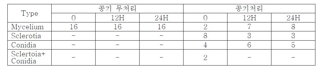 광처리에 따른 균핵 형성정도