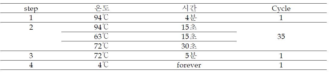 벼 흰잎마름병균 검출을 위한 PCR조건