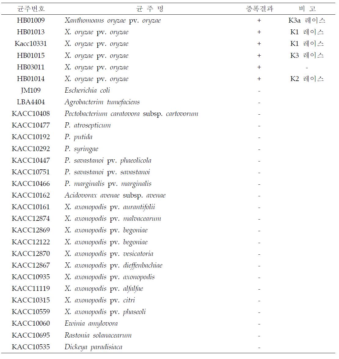 벼 흰잎마름병 정밀 진단을 위한 Xoo_Duplex primer의 특이성 검정 결과