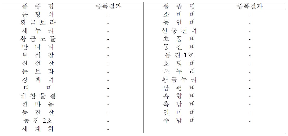 벼 주요품종에 대한 Xoo_Duplex primer의 특이성 검정 결과