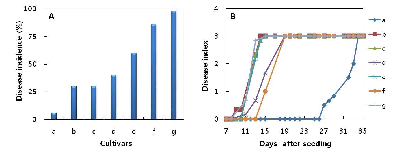 Comparison of cultivar resistance between field test (A) and in vitro seedling test (B) to bakanae disease. a: Nampyeong, b: Odae, c: Manho, d: Chucheong, e: Junam, f: Ilmi, g: Daeya.