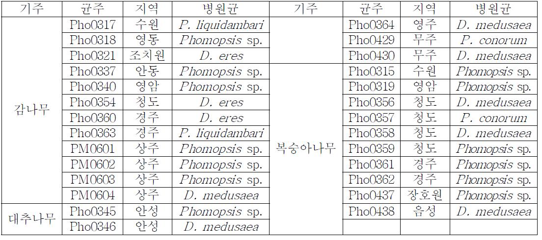 감나무, 대추나무 및 복숭아나무에서 분리된 Phomopsis 균의 ITS 염기서열 상동성 분석