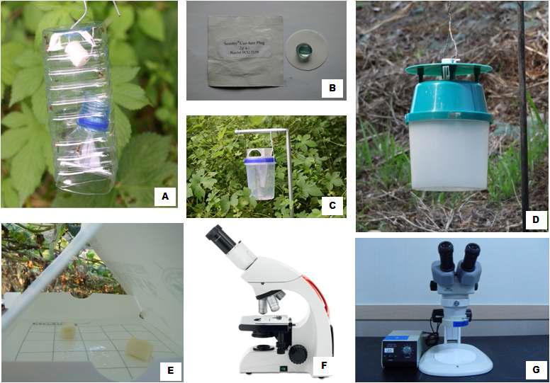 발생소장조사에 사용된 트랩과 유인제(A∼E), 피해조사 및 특성 구명에 사용된 현 미경(F, G)