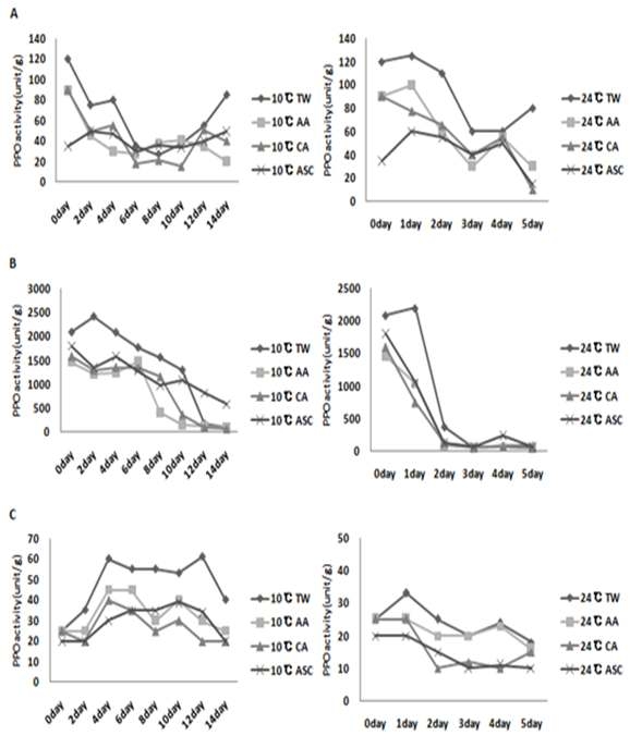 Fig. 11. 저장과정중의 PPO activity 변화