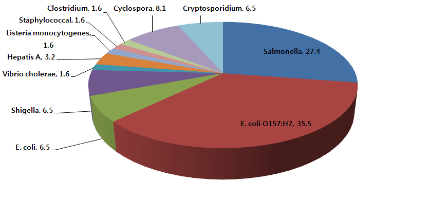 Fig. 4. 신선편의 제품에서 병원체별 outbreak 사례