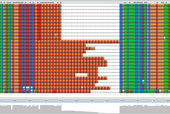 amms-219(ctg131)을 이용한 microsatellite allele 염기서열 다양성