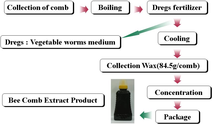벌집 추출물 제조 공정.